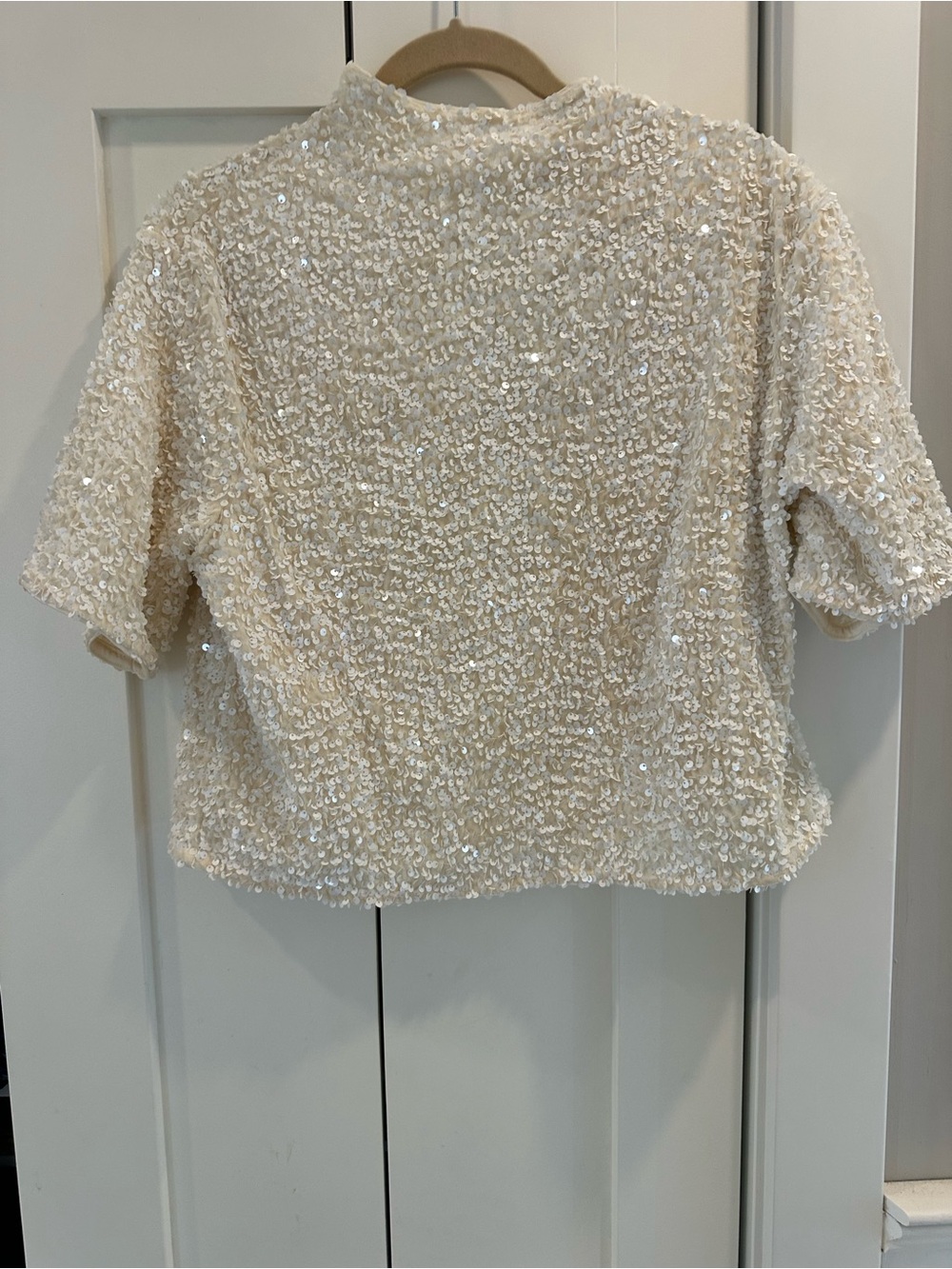 H&M Cream Sequin Crop Top